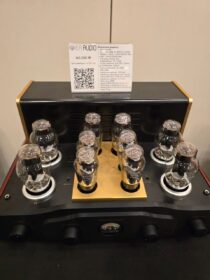 Pier Audio Röhren um etwa 3500.- €