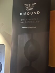 Open Baffle ist im Kommen , weils gut klingt.
